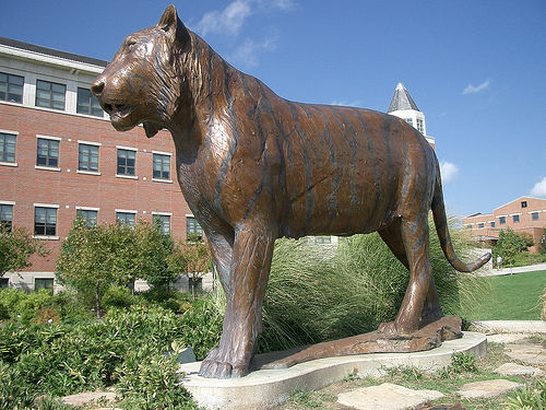 Thành công của Đại học Missouri đến từ Ban lãnh đạo